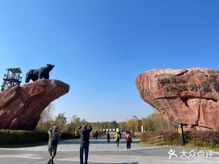 黑瞎子岛探秘野熊园图片