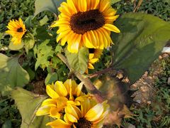 -武汉理工大学（南湖新校区）-图书馆