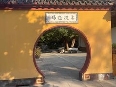 -上海东林寺(金山区)
