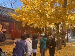 -承恩寺