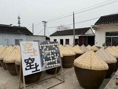 -苏州市吴中区光福窑上花果蜜饯厂