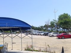 -老太太海鲜城(森林公园任家台店)