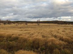 -塞罕坝国家级自然保护区