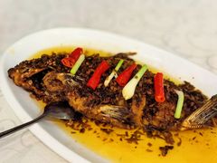 -高坎一品甲鱼庄(两河店)