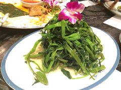 -美奈小馆·越南料理(福田星河COCO Park店)