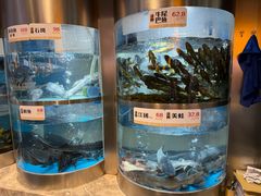 -老船舫·现做活鲜鱼馆(东郊记忆店)