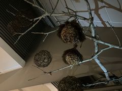 -茅庐·川粤精品私房菜(金沙遗址店)