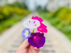 -云侨·传统纯手工越南小卷粉(永益巷店)