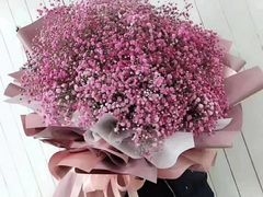 -金陵之星大酒店·中餐厅