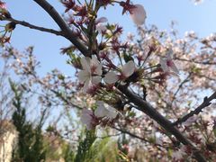 -京津新城温德姆至尊酒店(珠江大道店)