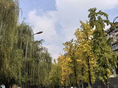 -听香·678茶铺(猛追湾店)