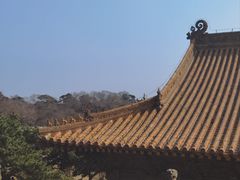 -北陵公园
