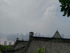 -南山植物园