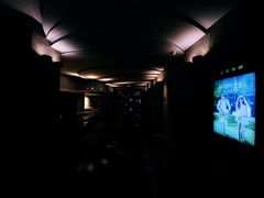 -百美汇影城(LUXE嘉里中心店)