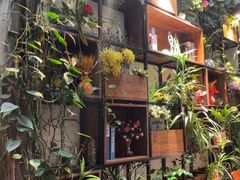 -杨小贤(五店市店)