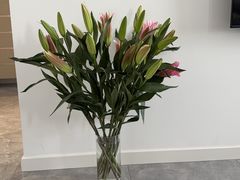 -循礼门鲜花花市(武汉循礼门店)