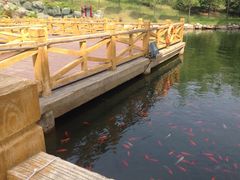 -威海华夏城景区