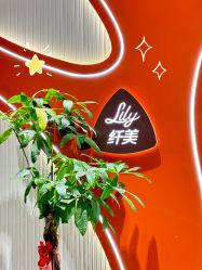 -Lily纤美·科技减脂中心