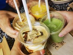 -油梨树AVOCADO TREE(顺义新国展店)