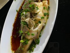 清蒸海鲈鱼-红烧鱼头·杭帮菜·特色烧烤