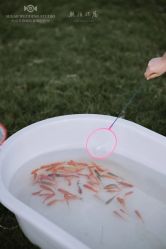 -Sugar苏格婚礼策划工作室