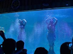 -左海海底世界