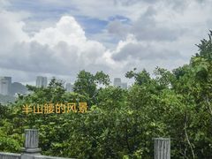 -野狸岛