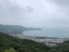 -梧桐山风景名胜区