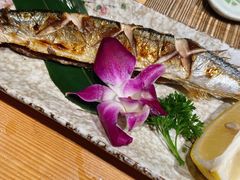 -酒井酱子·深夜食堂(东城汇店)