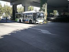 -上海旅游集散中心(万体站)