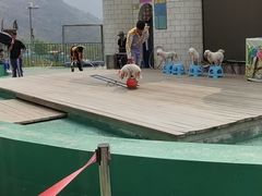 -瓷天下海丝谷