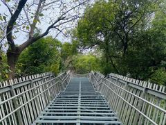 -福道