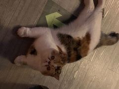 -后院儿·精酿·塔罗Happy Bar