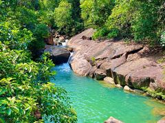 -广州白江湖森林公园