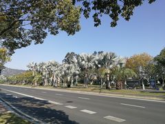 -厦门国家会计学院