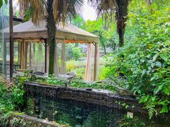 -野蔓果·山野菜(西湖景区·龙井茶田店)