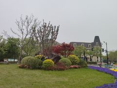 -新江湾城公园