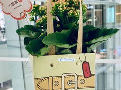 -COACH蔻驰(星光68广场店)