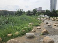-绿岛公园(滨海新区)