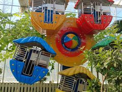 -南宫五洲植物乐园