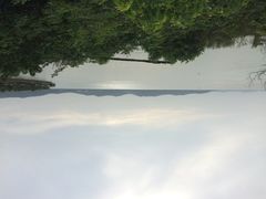 华东疗养院-上海市保健医疗中心(华东疗养院)