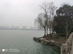 -蠡湖中央公园
