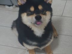 -镭战大联盟真人CS·生日派对·亲子聚会·团建(天安千树店)