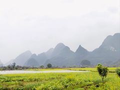 -村上春树