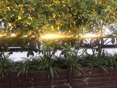 -高坎一品甲鱼庄(两河店)
