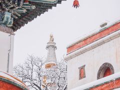 -颐和园