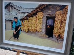 -黔蘑菇四季餐厅(观山湖店)