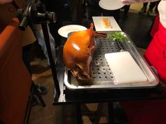 -阿庄新豫菜(航海东路店)