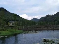 -广州市石门国家森林公园