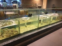 -Isla Sugbu Seafood City